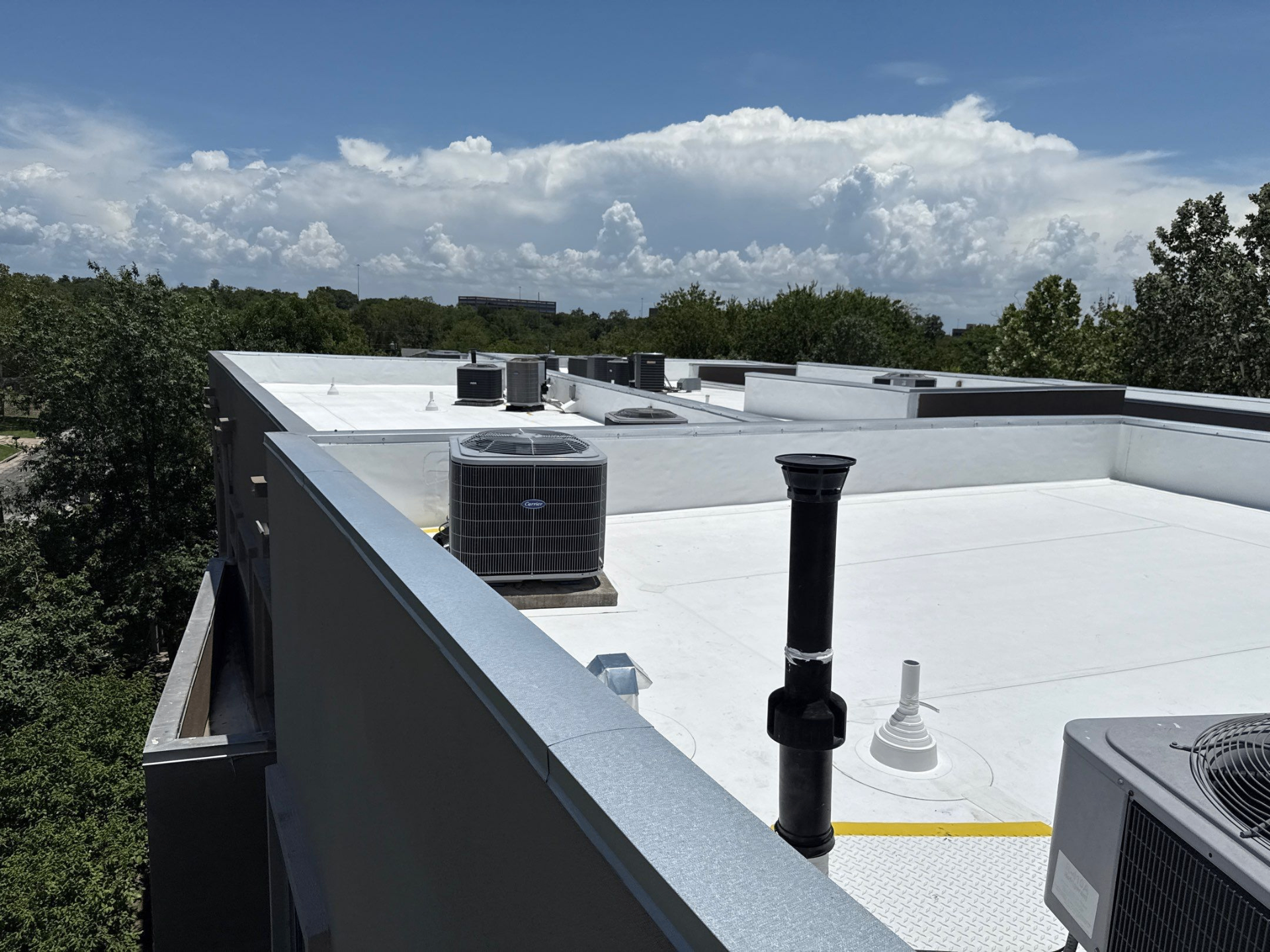 TPO Commercial Roof